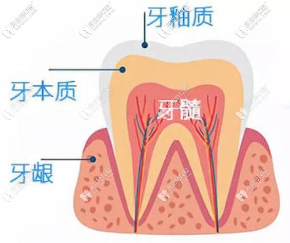 牙齒敏感酸痛怎么辦？速來了解快速緩解的方法